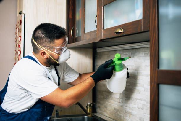 Best Best Pest Control Companies  in Waterville, OH