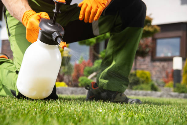 Best Residential Pest Control  in Waterville, OH