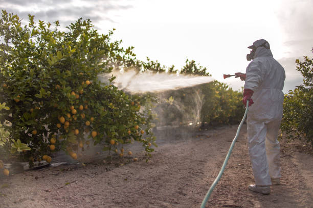 Best Cockroach Control Services  in Waterville, OH