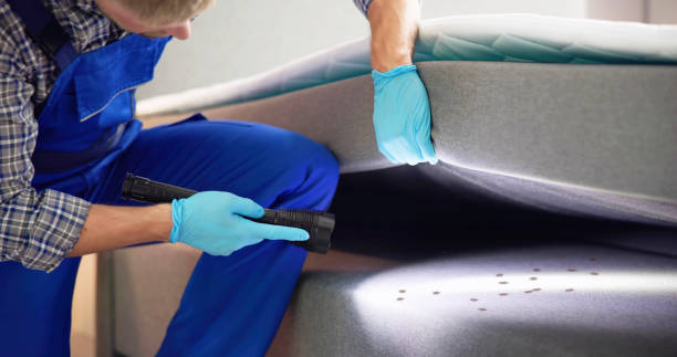 Best Affordable Pest Control Services  in Waterville, OH