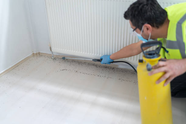 Best Mosquito Control Services  in Waterville, OH