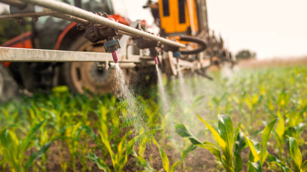 Best Best Pest Control Companies  in Waterville, OH